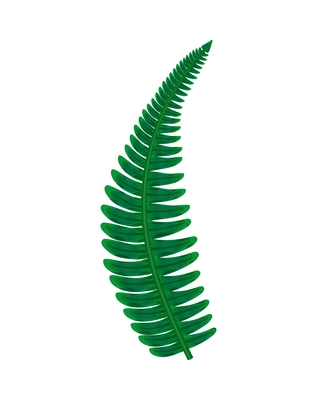 Big green leaf of prehistoric fern plant on white background flat vector illustration