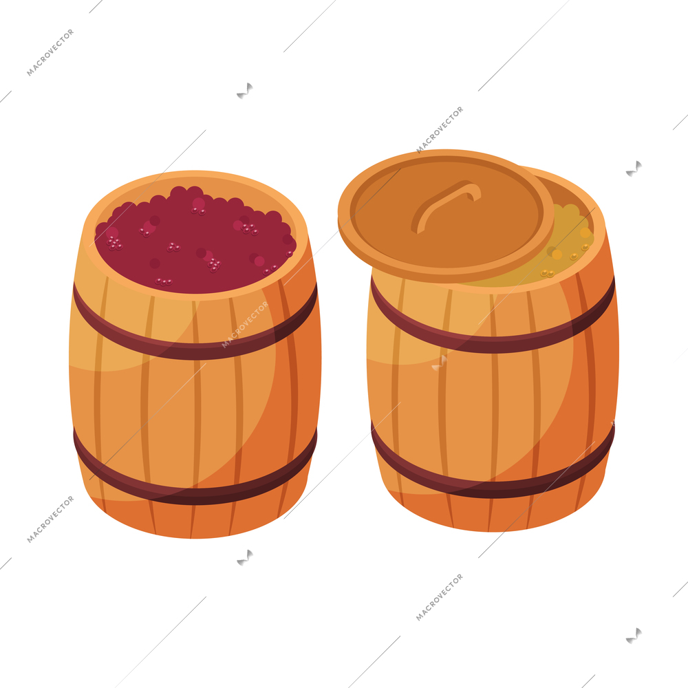 Wine production isometric icon with two wooden barrels with white and red grapes isolated vector illustration