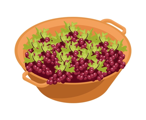 Isometric fresh grapes with green leaves in basin 3d vector illustration