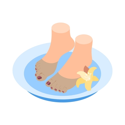 Female feet in basin during pedicure procedure isometric icon 3d vector illustration