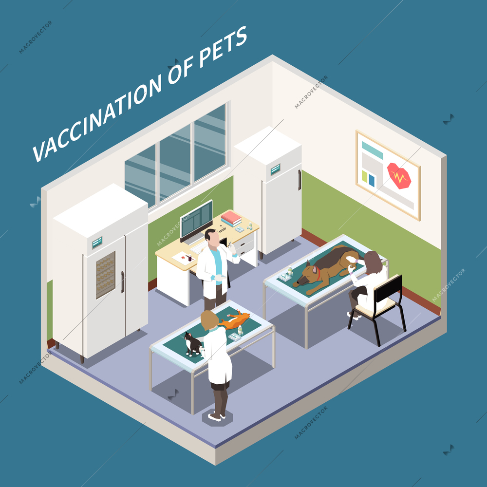 Veterinary clinic vaccination service isometric vet office interior view with assistants injecting cat and dog vector illustration