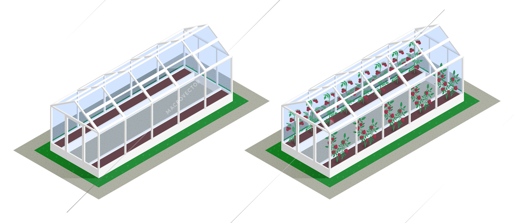 Isometric greenhouse growing icon set one empty and other planted with seedlings vector illustration