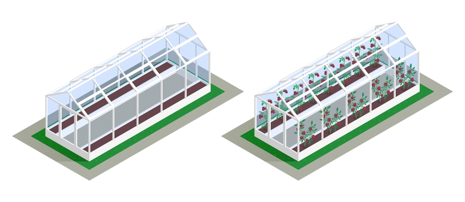 Isometric greenhouse growing icon set one empty and other planted with seedlings vector illustration