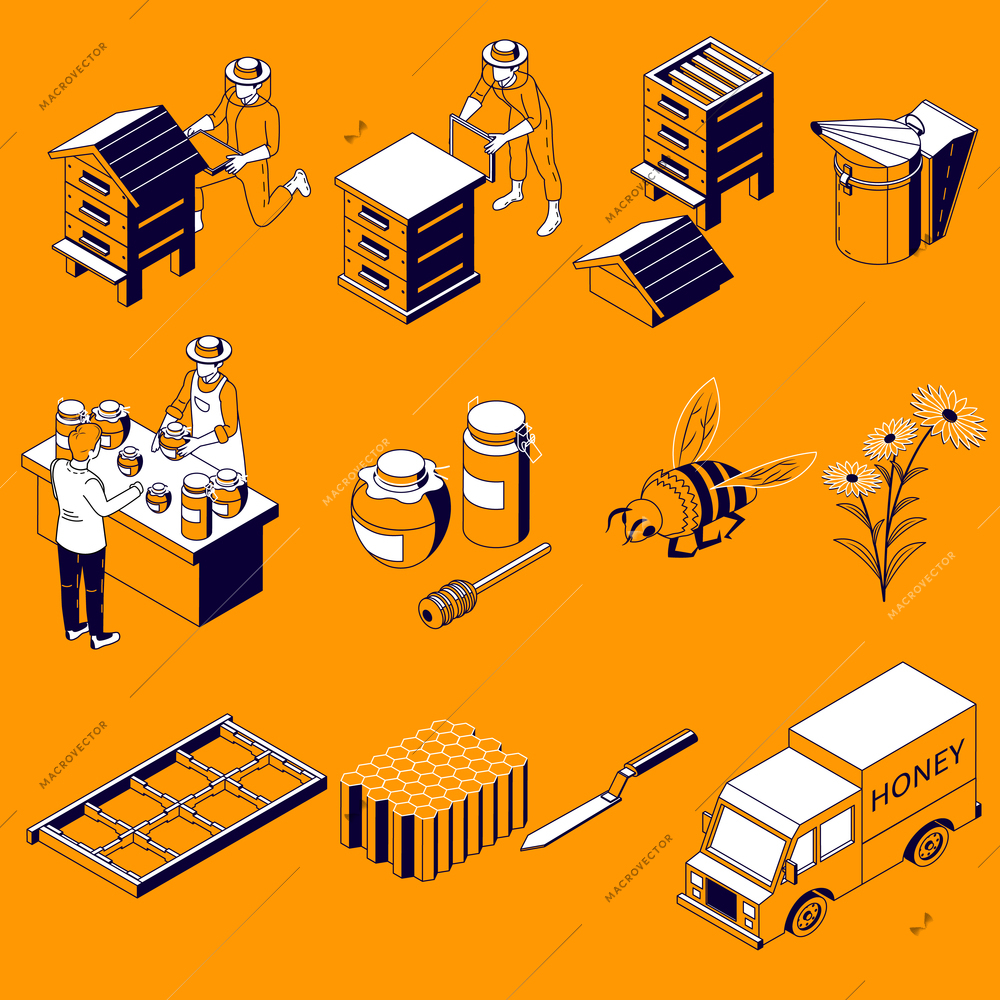 Beekeeping isometric set with isolated icons of honey truck cans bee with flower hives and honeycomb vector illustration