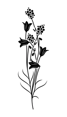 Milk farm engraving hand drawn composition with isolated monochrome image of flowers with leaves and stalks vector illustration