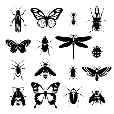 Insects black and white decorative icons set with grasshopper bug ladybug isolated vector illustration.