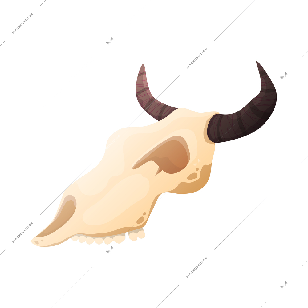 Wild west cowboy composition with isolated image of animal skull of coyote on blank background vector illustration