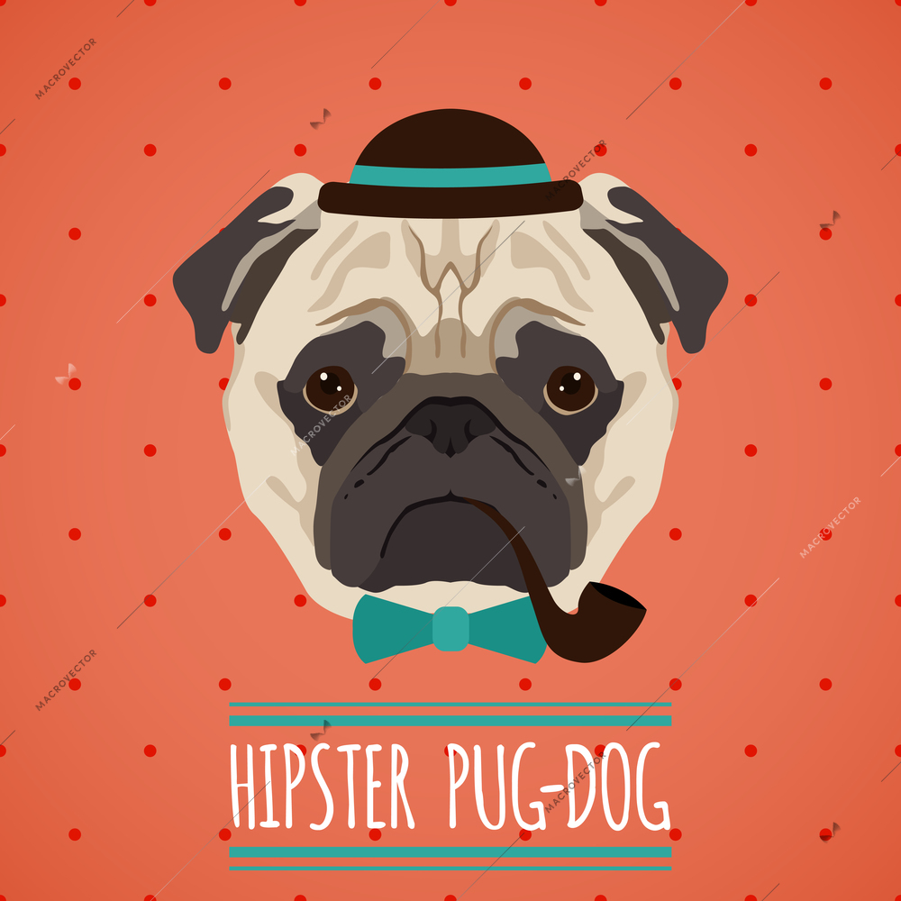 Hipster pug dog with hat smoking pipe and bow tie portrait with ribbon poster vector illustration