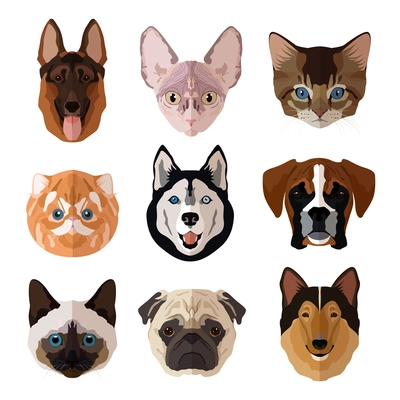 Pets portrait flat icons set with cats dogs kittens and puppies isolated vector illustration