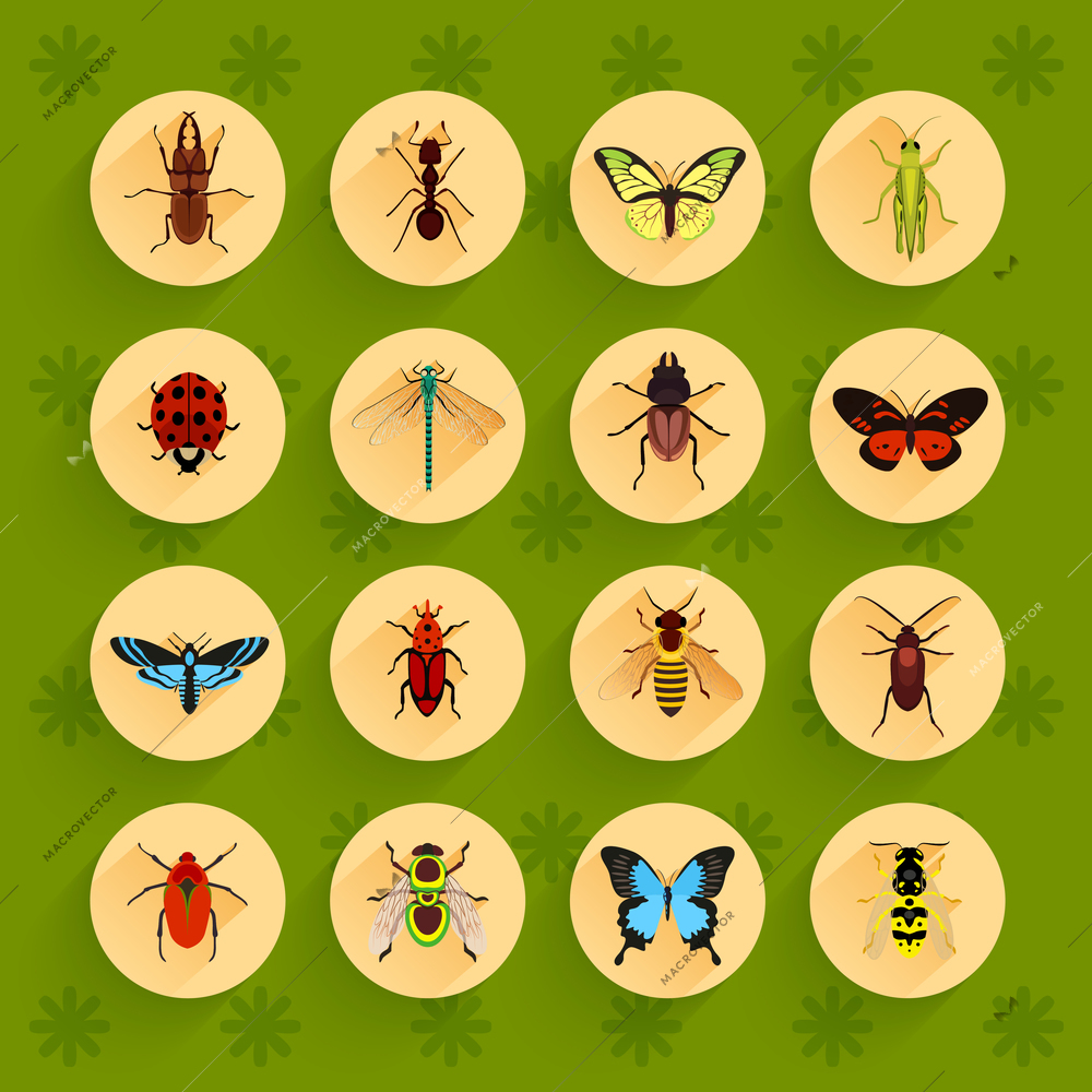 Insects round button flat icons set with fly dragonfly bee isolated vector illustration