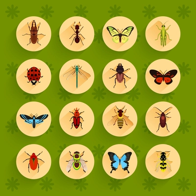 Insects round button flat icons set with fly dragonfly bee isolated vector illustration