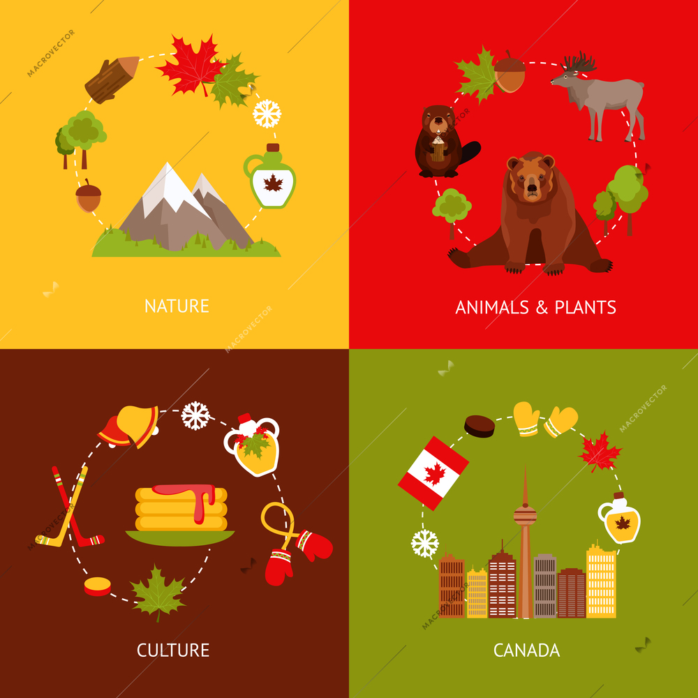 Canada colored flat icons set with nature animals plants culture isolated vector illustration