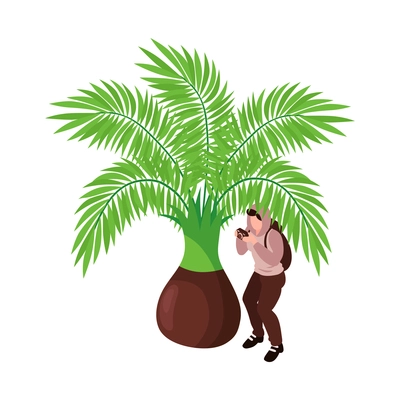 Isometric celebrities red carpet paparazzi composition with isolated human character of paparazzi hiding under palm tree vector illustration