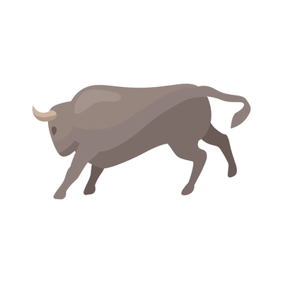 Isometric bullfight composition with isolated image of running grey bull vector illustration