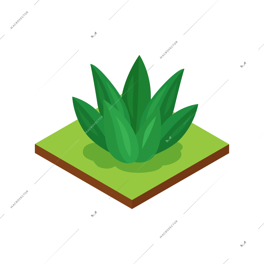 Isometric jungle composition with square piece of terrain and lily vector illustration
