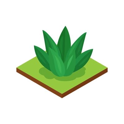 Isometric jungle composition with square piece of terrain and lily vector illustration