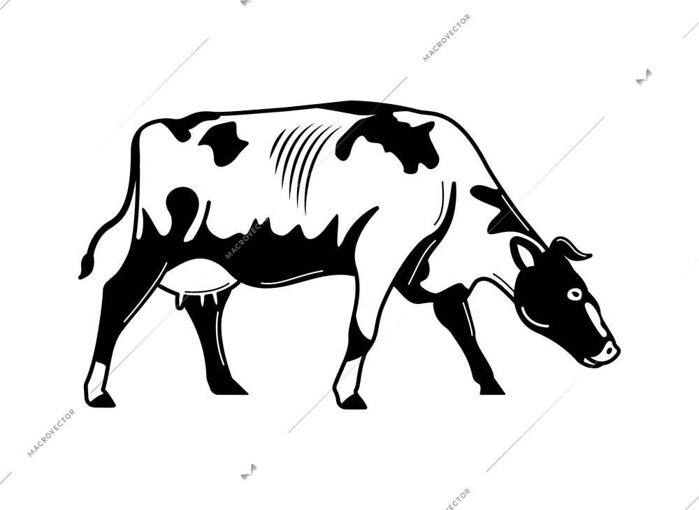 Milk farm engraving hand drawn composition with isolated monochrome image of cow vector illustration