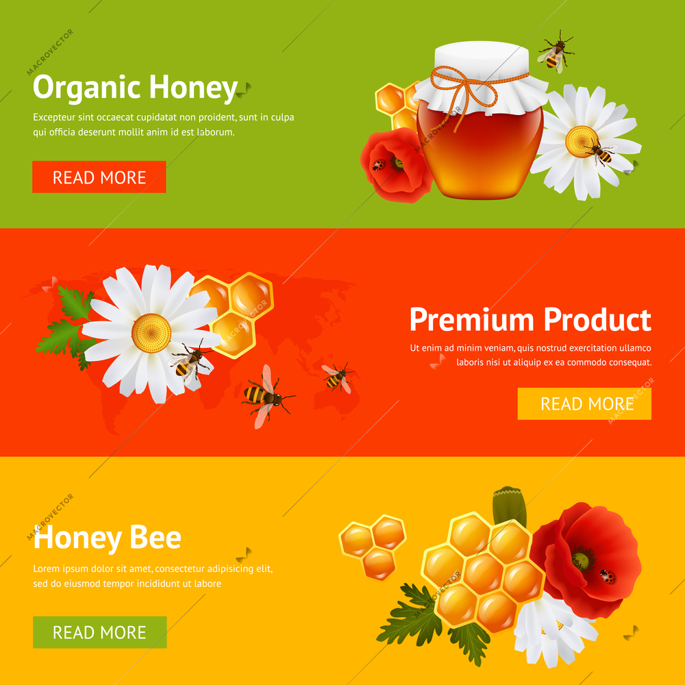 Honey natural organic product food decorative banners set with daisy bumblebee honeycomb isolated vector illustration