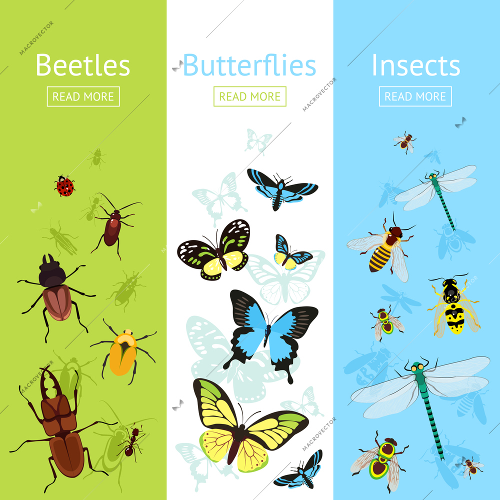 Insects colored decorative vertical banner flat set with beetles and butterflies isolated vector illustration