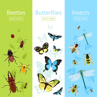 Insects colored decorative vertical banner flat set with beetles and butterflies isolated vector illustration