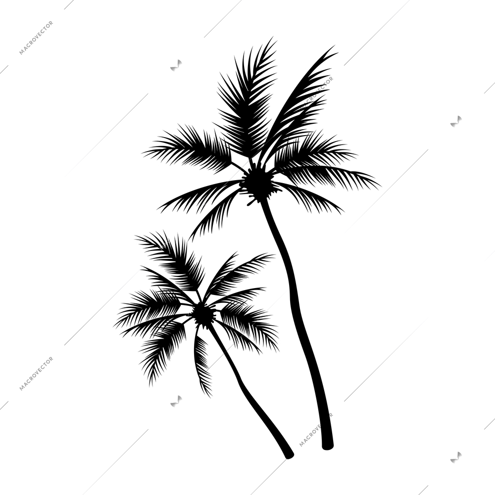 Surfing engraving hand drawn composition with isolated image of palm trees vector illustration