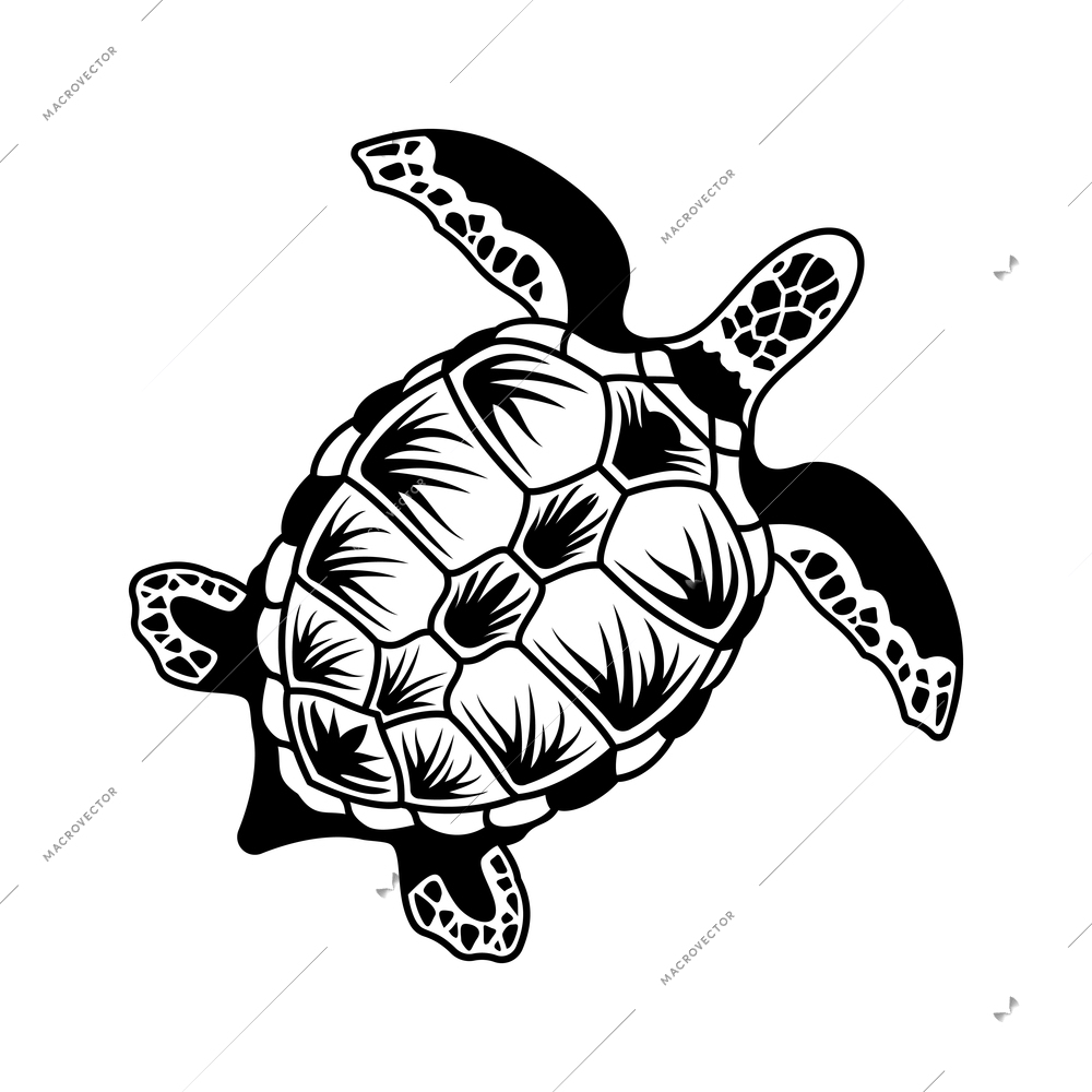 Surfing engraving hand drawn composition with isolated image of turtle vector illustration