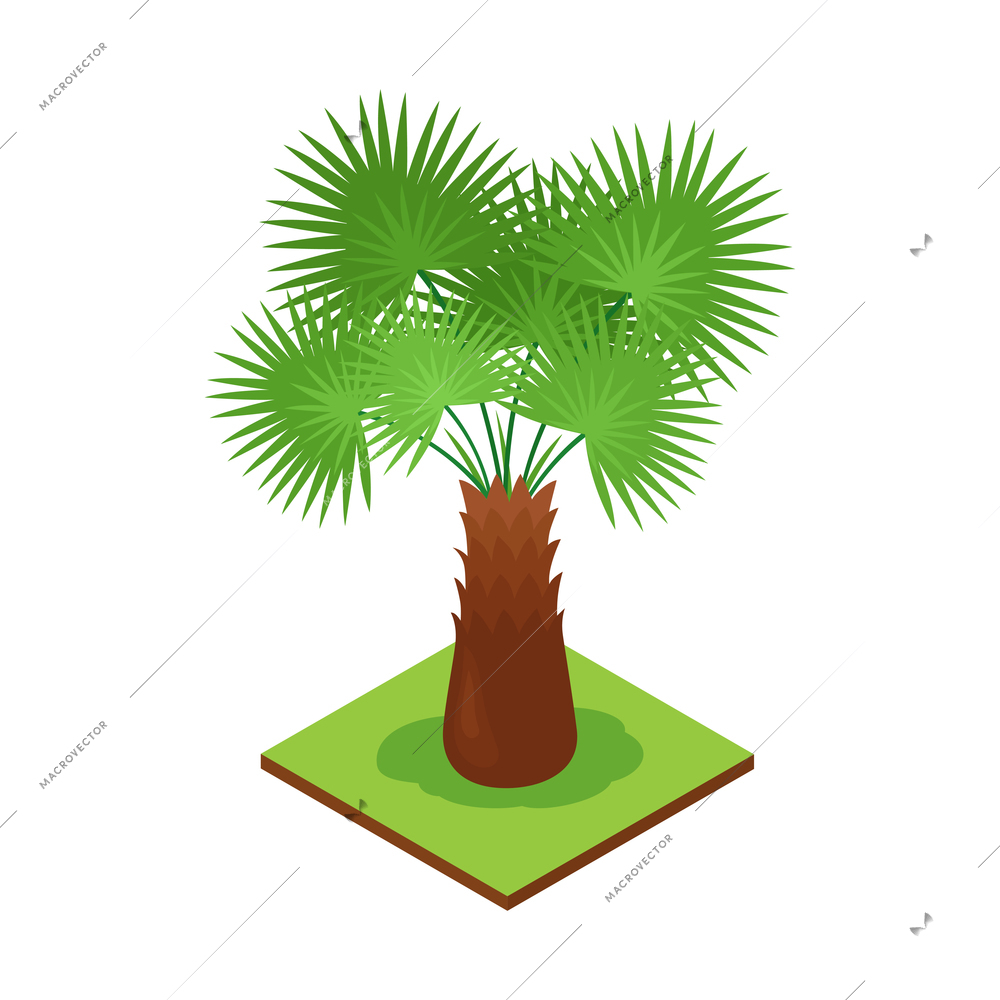 Isometric jungle composition with square piece of terrain and exotic plant vector illustration