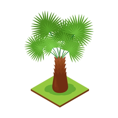 Isometric jungle composition with square piece of terrain and exotic plant vector illustration