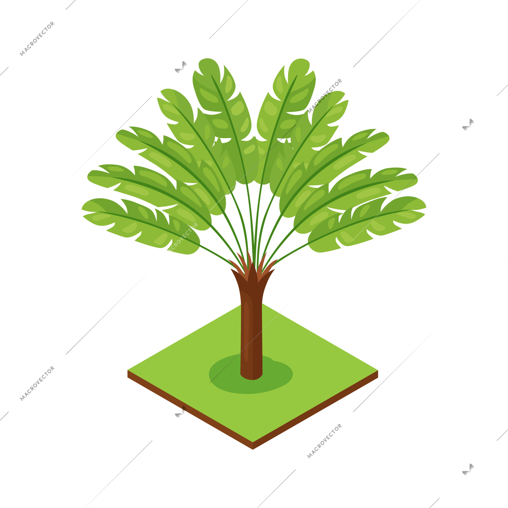 Isometric jungle composition with square piece of terrain and exotic plant vector illustration