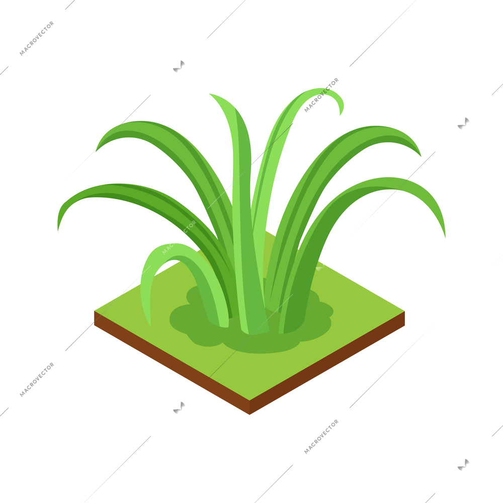 Isometric jungle composition with square piece of terrain and exotic plant vector illustration