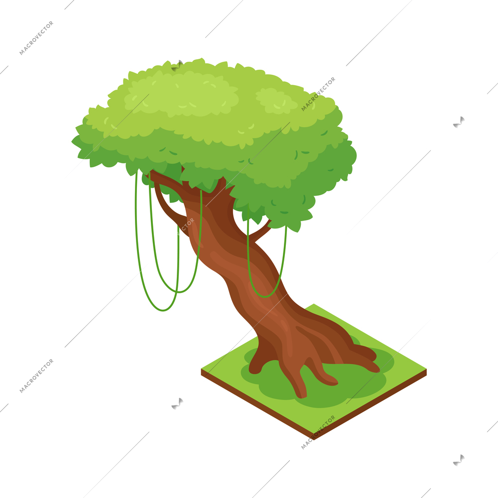 Isometric jungle composition with square piece of terrain and exotic tree vector illustration