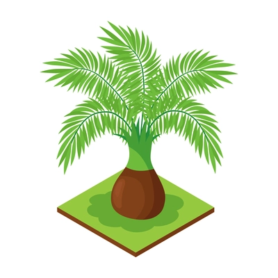 Isometric jungle composition with square piece of terrain and exotic plant vector illustration