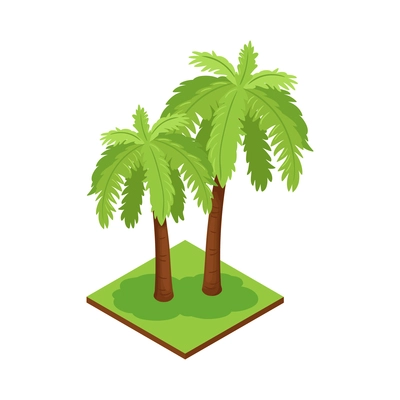 Isometric jungle composition with square piece of terrain and exotic palm trees vector illustration