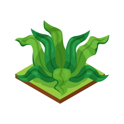 Isometric jungle composition with square piece of terrain and exotic plant vector illustration