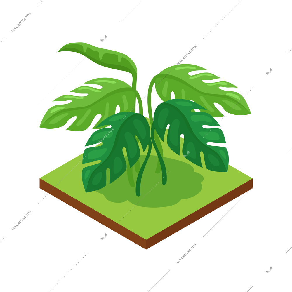 Isometric jungle composition with square piece of terrain and exotic plant vector illustration