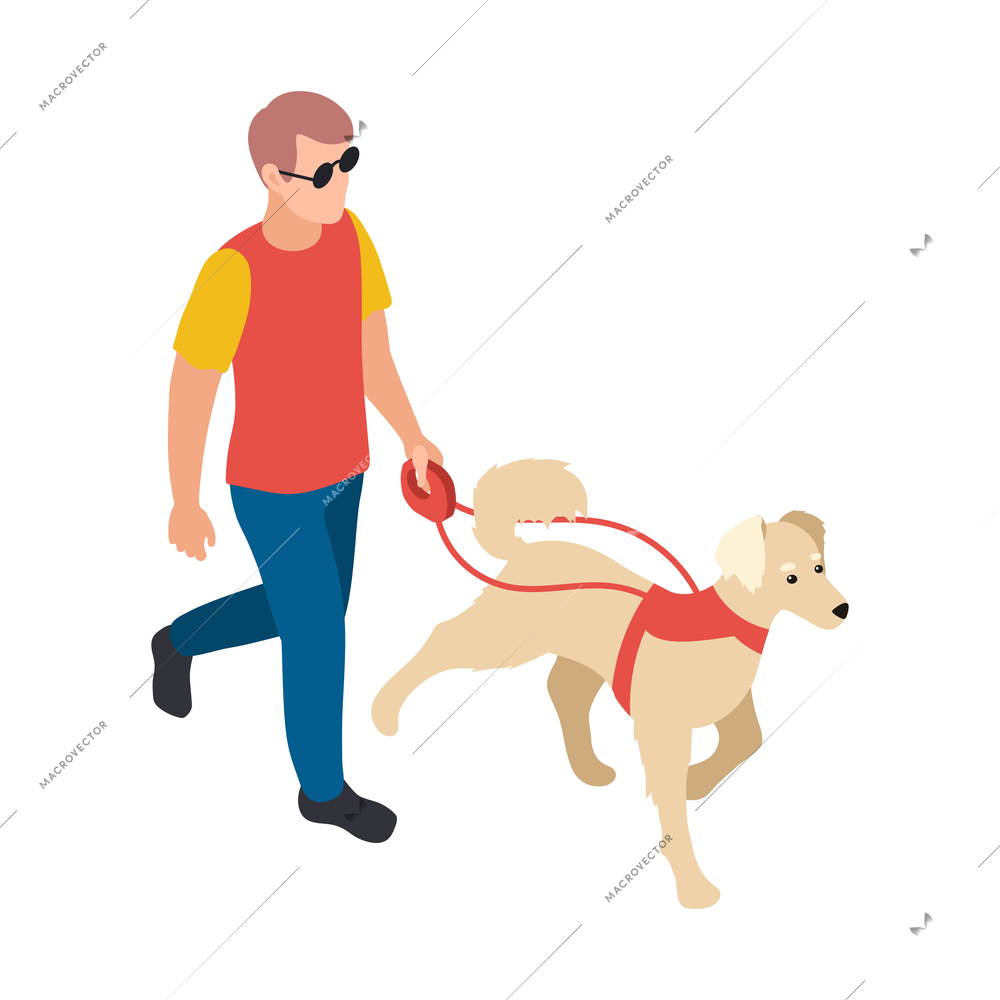Disabled people isometric composition with human character of blind man led by guide dog vector illustration