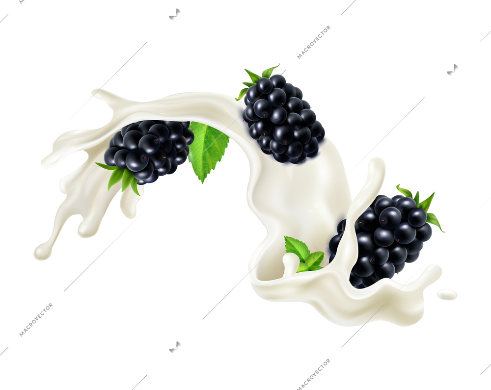 Realistic milk yogurt berries composition with splashes of white liquid and ripe blackberry vector illustration