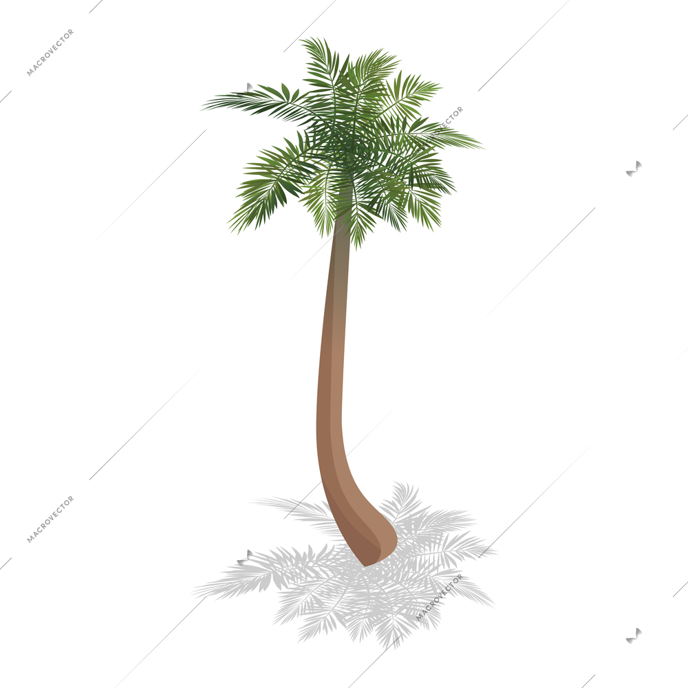 Isometric surfing composition with isolated image of palm tree on blank background vector illustration