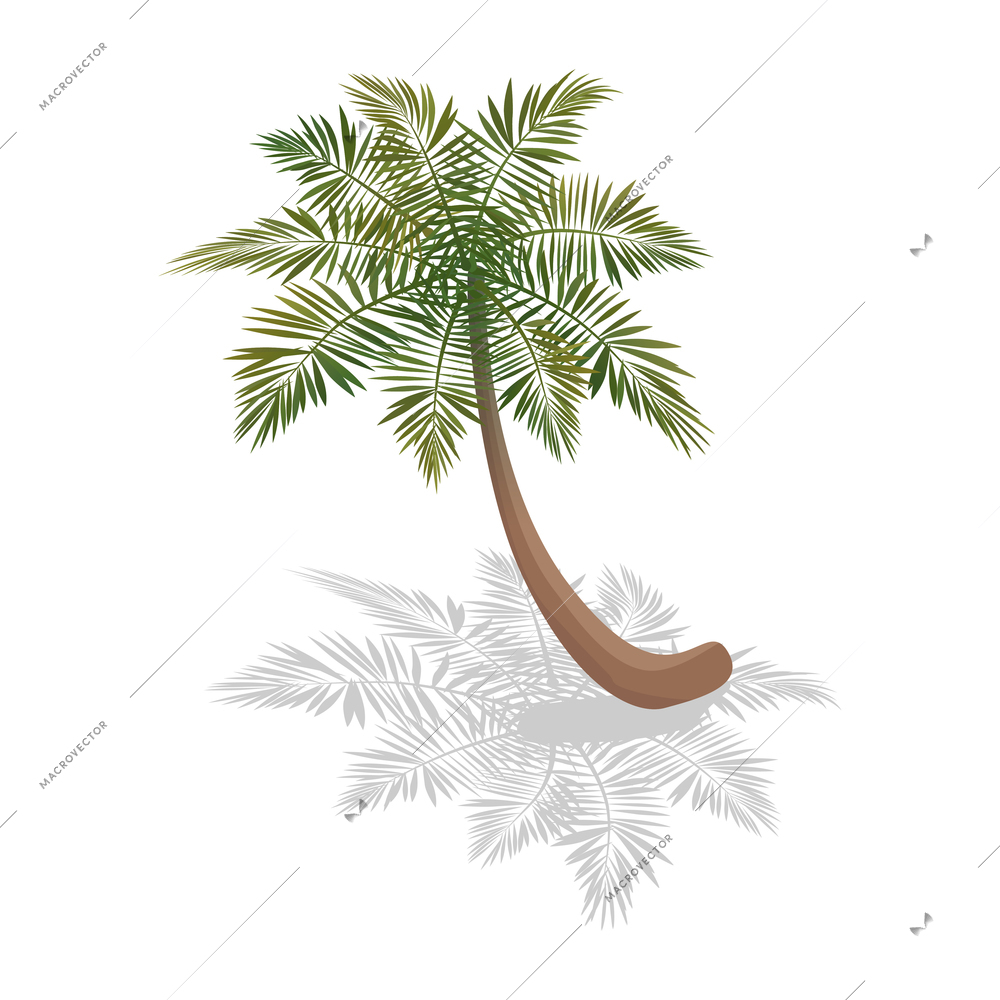 Isometric surfing composition with isolated image of palm tree on blank background vector illustration