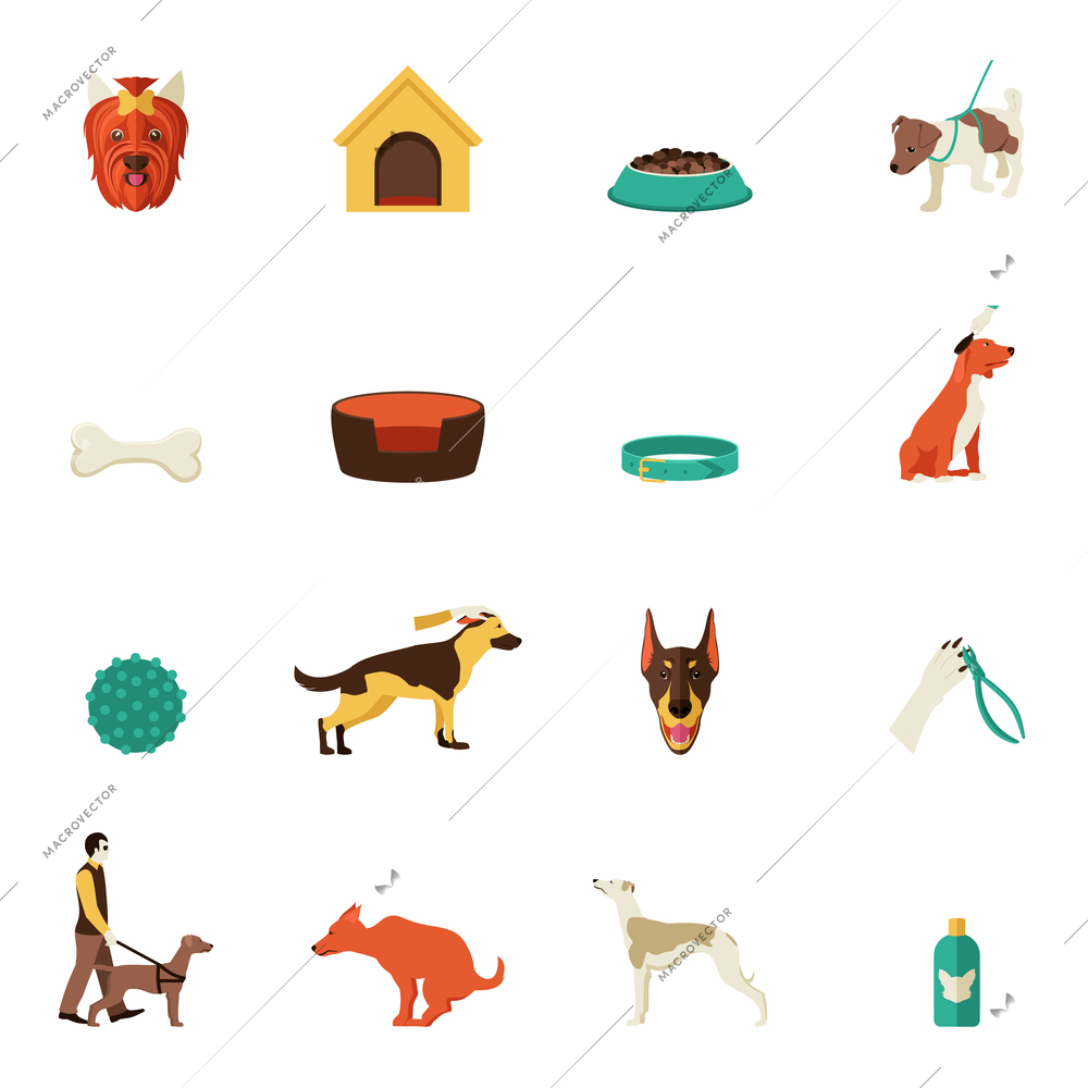 Dog icons flat set with food walking bowl collar isolated vector illustration