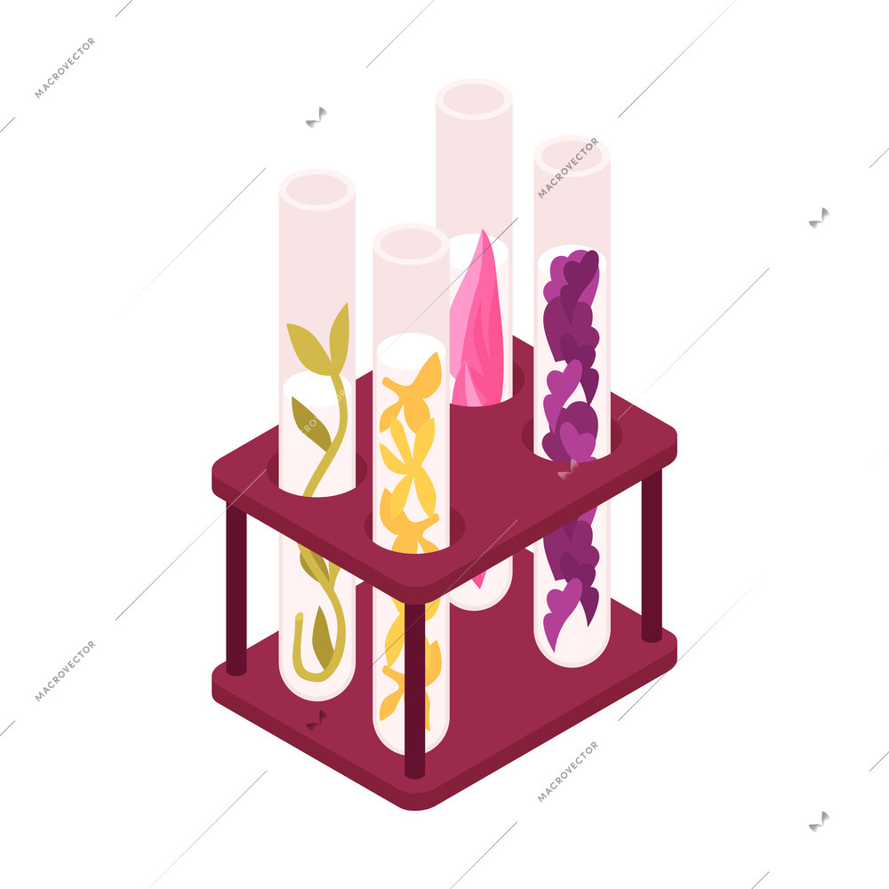 Isometric perfume composition with isolated image of aroma tubes with plants and flowers vector illustration