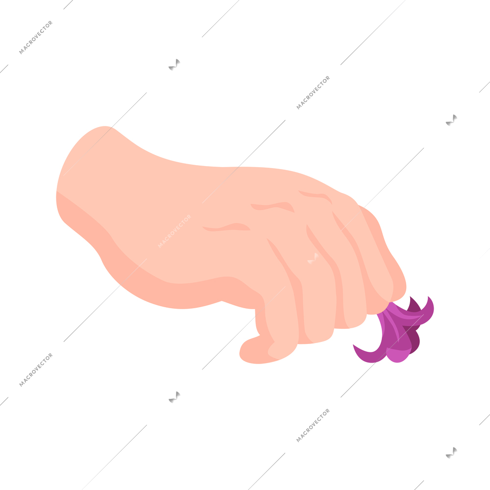 Isometric perfume composition with isolated image of human hand holding single flower vector illustration