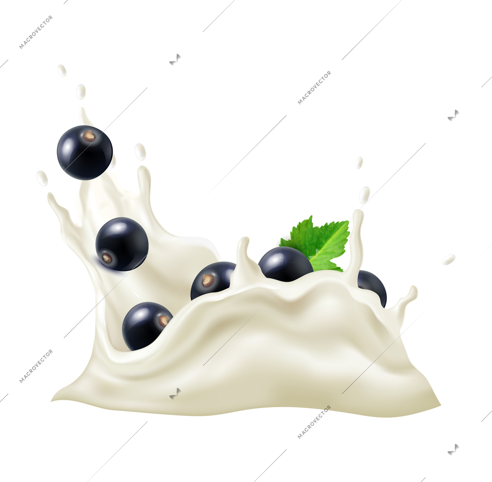 Realistic milk yogurt berries composition with splashes of white liquid and ripe blackcurrant vector illustration