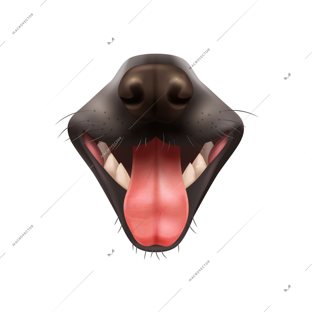 Realistic open dog mouth with black nose and protruding tongue on white background vector illustration