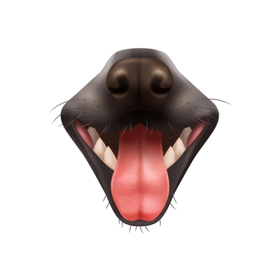 Realistic open dog mouth with black nose and protruding tongue on white background vector illustration