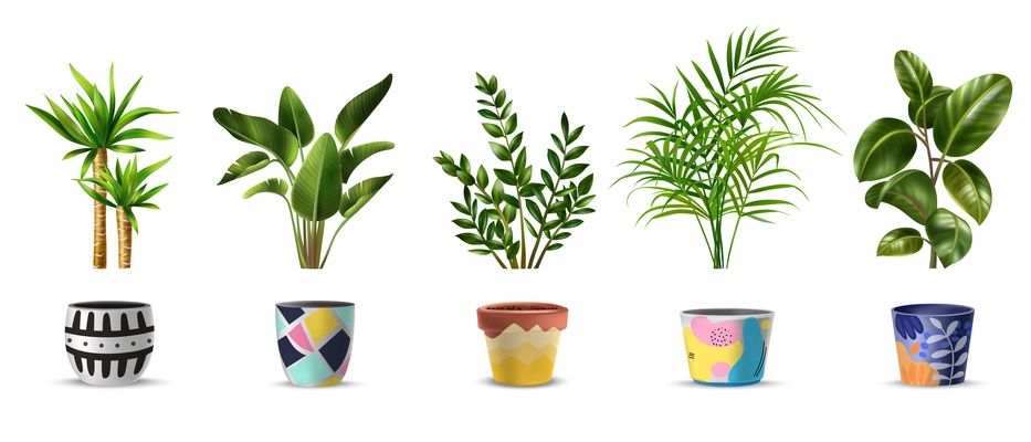 Realistic set of tropical green house plants and colorful patterned pots for them isolated vector illustration