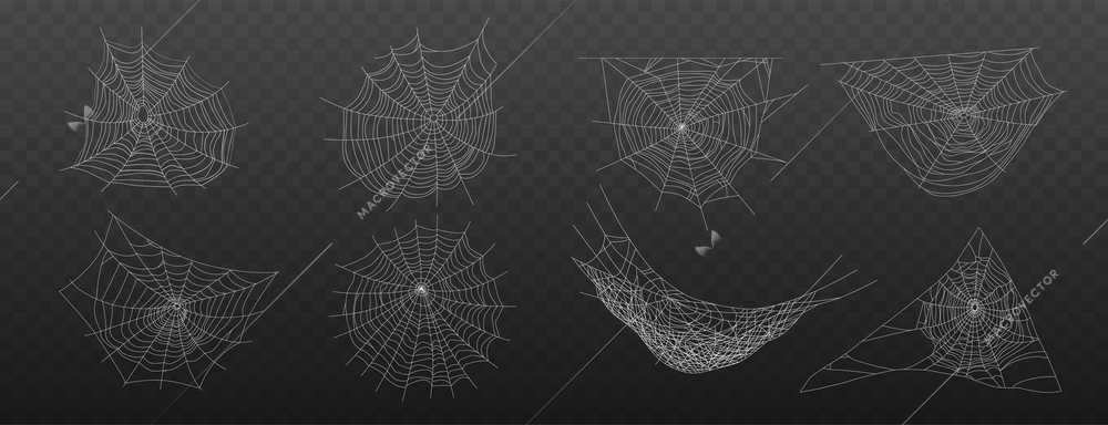 Realistic cobweb set with isolated images of grey spiders web of different shape on transparent background vector illustration