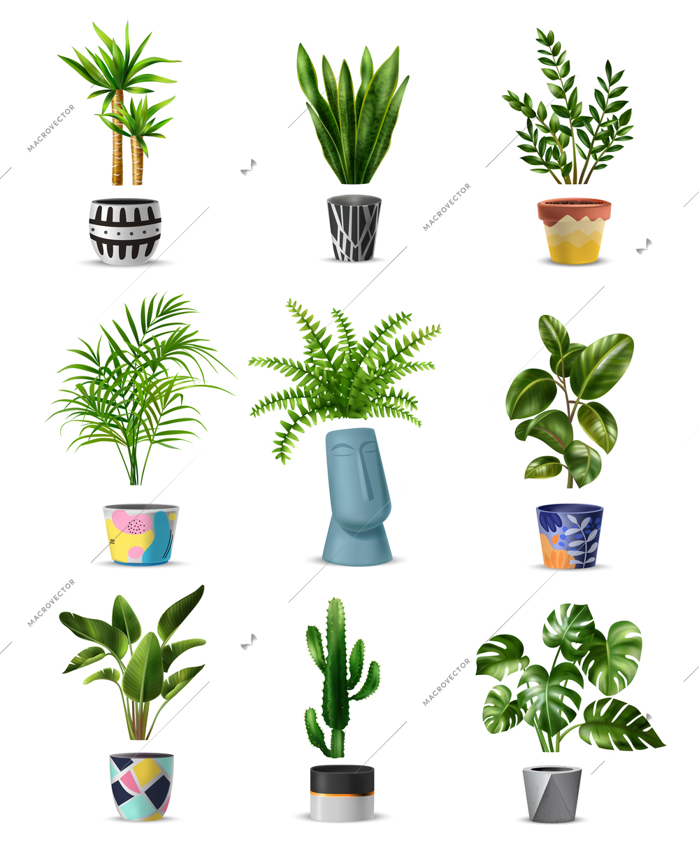 Realistic green home plant big set with isolated images of houseplants in flowerpots of various design vector illustration