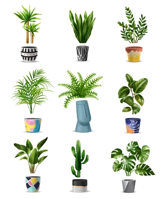 Realistic green home plant big set with isolated images of houseplants in flowerpots of various design vector illustration