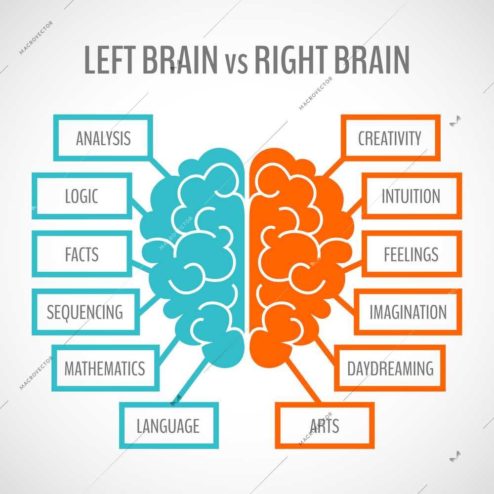 Brain left analytical and right creative hemispheres infographics set vector illustration